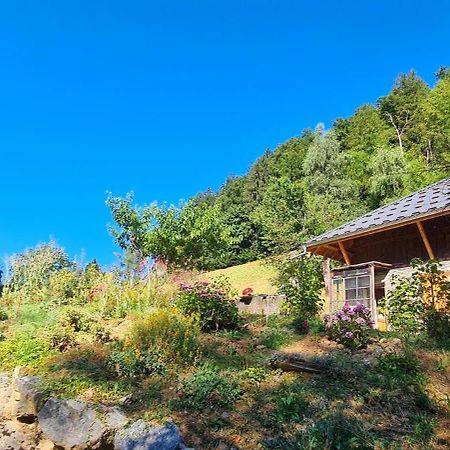 Chambre D'Hotes L'Aire Du Temps Savoyard Ugine Exterior foto